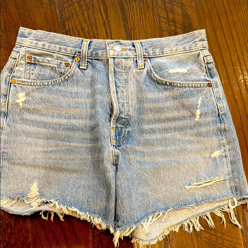 Agolde Parker vintage cut off shorts